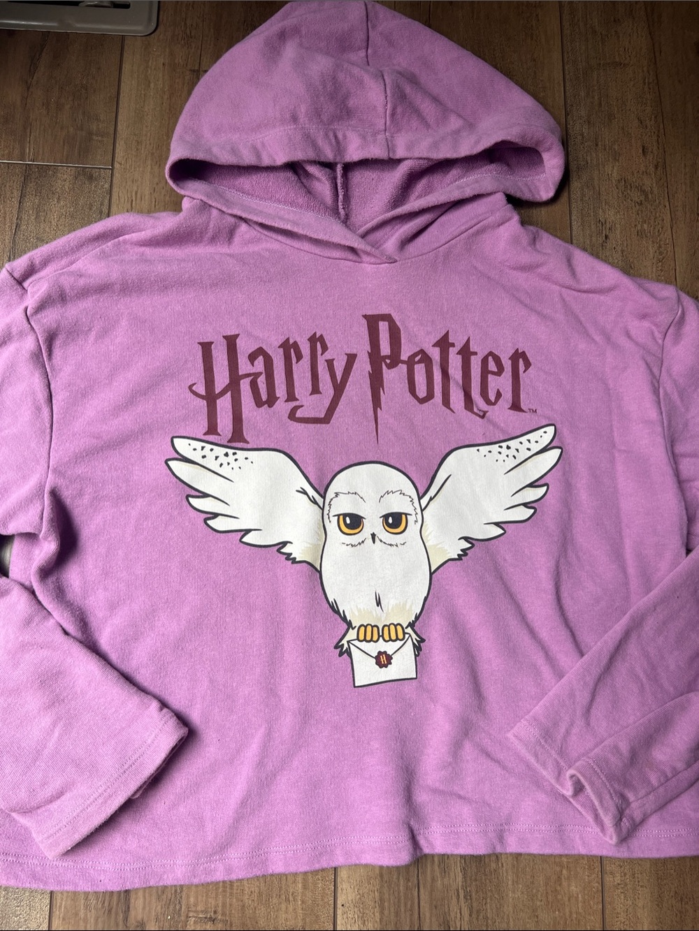 H&M Soft Purple Harry Potter Hoodie with Hedwig Graphic